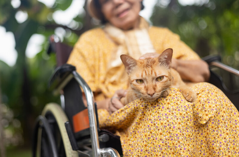 the role of pets in hospice care
